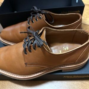 Allen Edmonds dress shoes,just tried on,new never been use,too big for me.